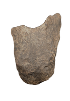 Hypacrosaurus Neck Vertebra