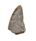 Tyrannosaurus Rex Tooth