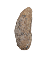 Coprolite, Cloverly Formation