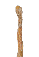 Pterosaur Ulna, Kem Kem