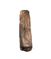 Nanotyrannus Pre Max Tooth