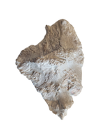 Phytosaur Armor Scute, Chinle Formation