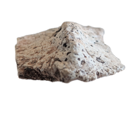 Phytosaur Armor Scute, Chinle Formation