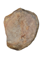 Sauropod (Long Neck) Tail Vertebra, El Mers III Formation