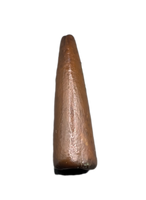 Unknown Theropod Tooth, Bissekty Formation, Uzbekistan