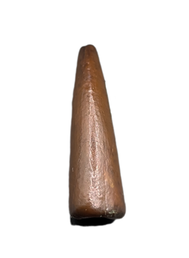 Unknown Theropod Tooth, Bissekty Formation, Uzbekistan