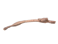 Aetosaur? Rib, Chinle Formation