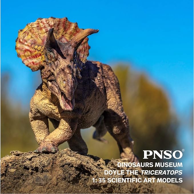 Doyle the Triceratops, PNSO