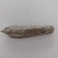 Small Mosasaur Jaw Section from the Kansas Chalk
