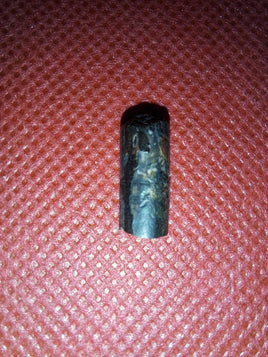 Nigersaurus Tooth, Sauropod