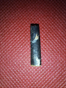 Nigersaurus Tooth, Sauropod