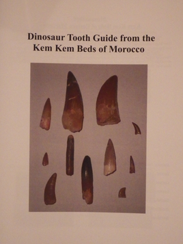 Kem Kem Dinosaur Tooth Guide