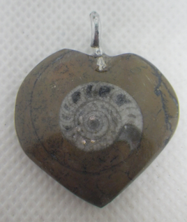 Fossil Ammonite Necklace Pendant