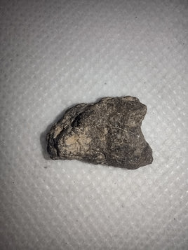 Sahara Desert Meteorite