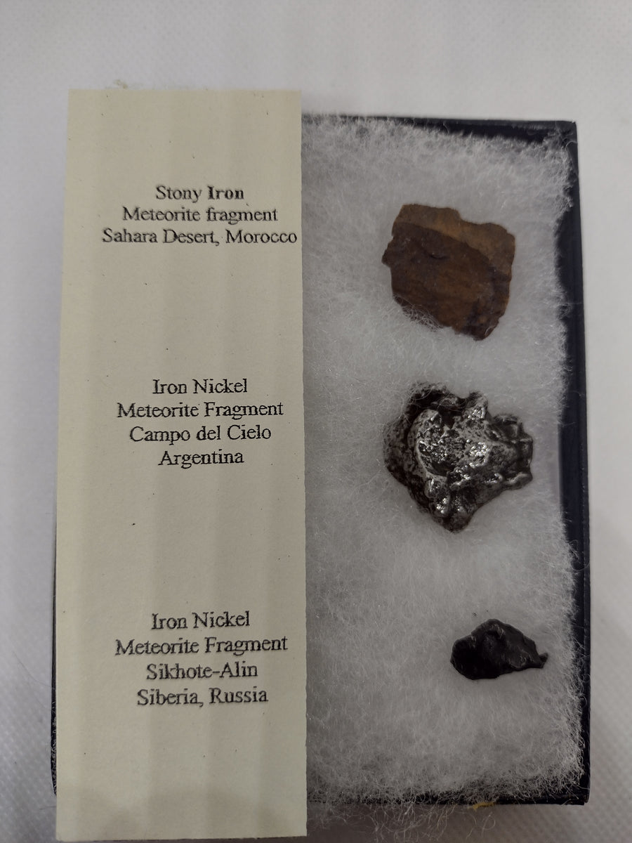Meteorite Riker Box 3 meteorites in Riker Mount Display| The Daily Rex