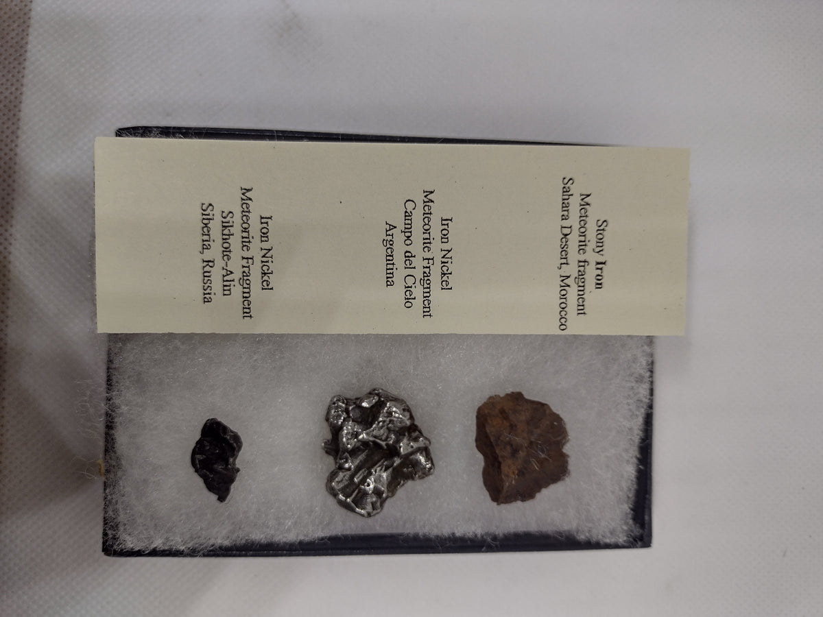 3 meteorites in Riker Mount Display| The Daily Rex