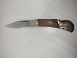 Dinosaur Gem Bone Pocket Knife