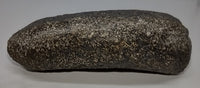 Hypacrosaurus Astragalus (Ankle) Bone, Two Medicine Formation