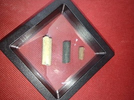 Hadrosaur Tail Tendon Set. Tenontosaurus, Maisaura, and Edmontosaurus