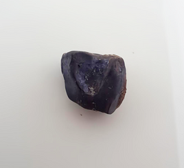 Ceratopsian Tooth, Judith River Formation