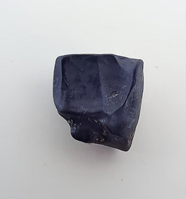 Ceratopsian Tooth, Judith River Formation