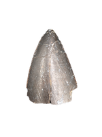 Torvosaurus Tooth, Morrison Formation