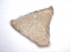 Titanosaur Eggshell Pieces, from Spain
