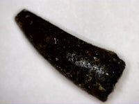 Crocodile Tooth, Morrison Formation