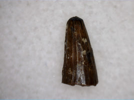 Crocodile Tooth, Ojo Alamo Formation