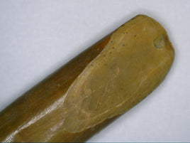 Sauropod Tooth from Morocco (Kem Kem)
