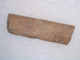 Tenontosaurus Tail Tendon, Cloverly Formation
