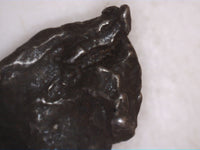 Sikhote-Alin (Russia) Meteorite (Iron Octahedrite)