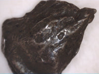 Sikhote-Alin (Russia) Meteorite (Iron Octahedrite)