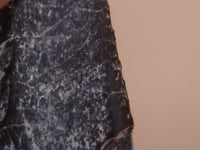 Maiasaura Tooth, Two Medicine Formation